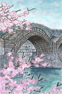 錦帯橋と桜